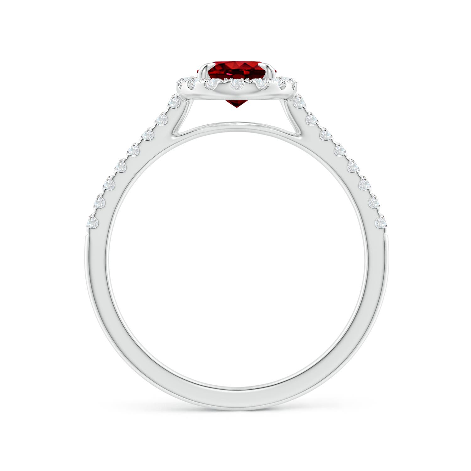 7x5mm AAAA Oval Ruby Halo Engagement Ring in White Gold - side 2