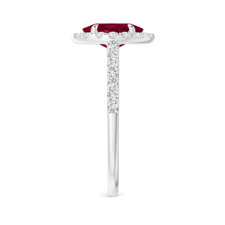 8x6mm A Oval Ruby Halo Engagement Ring in White Gold side 2