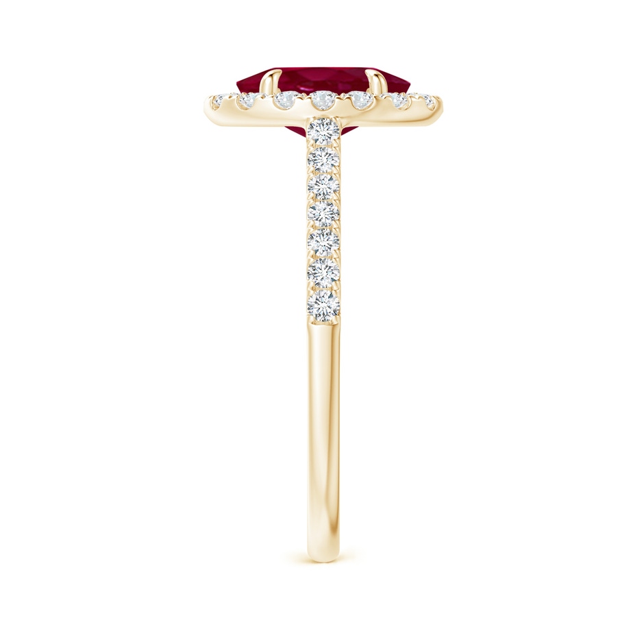 8x6mm A Oval Ruby Halo Engagement Ring in Yellow Gold side 2