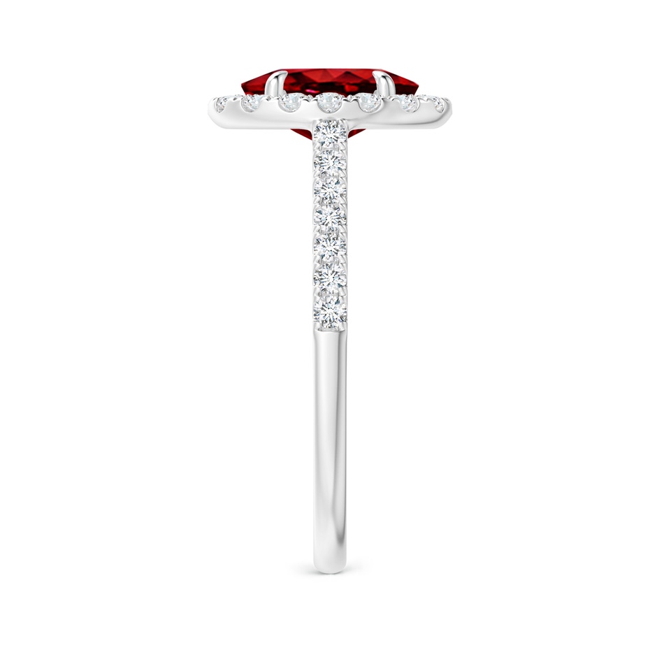 8x6mm AAAA Oval Ruby Halo Engagement Ring in P950 Platinum side 2
