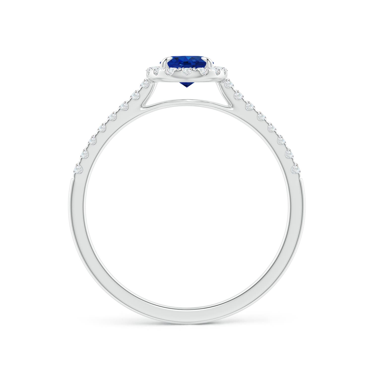 AAA - Blue Sapphire / 0.84 CT / 14 KT White Gold