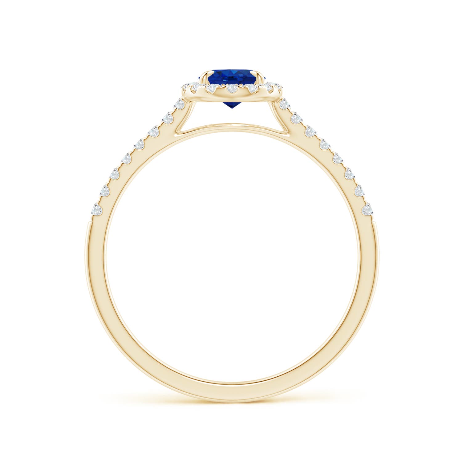 AAA - Blue Sapphire / 0.84 CT / 14 KT Yellow Gold