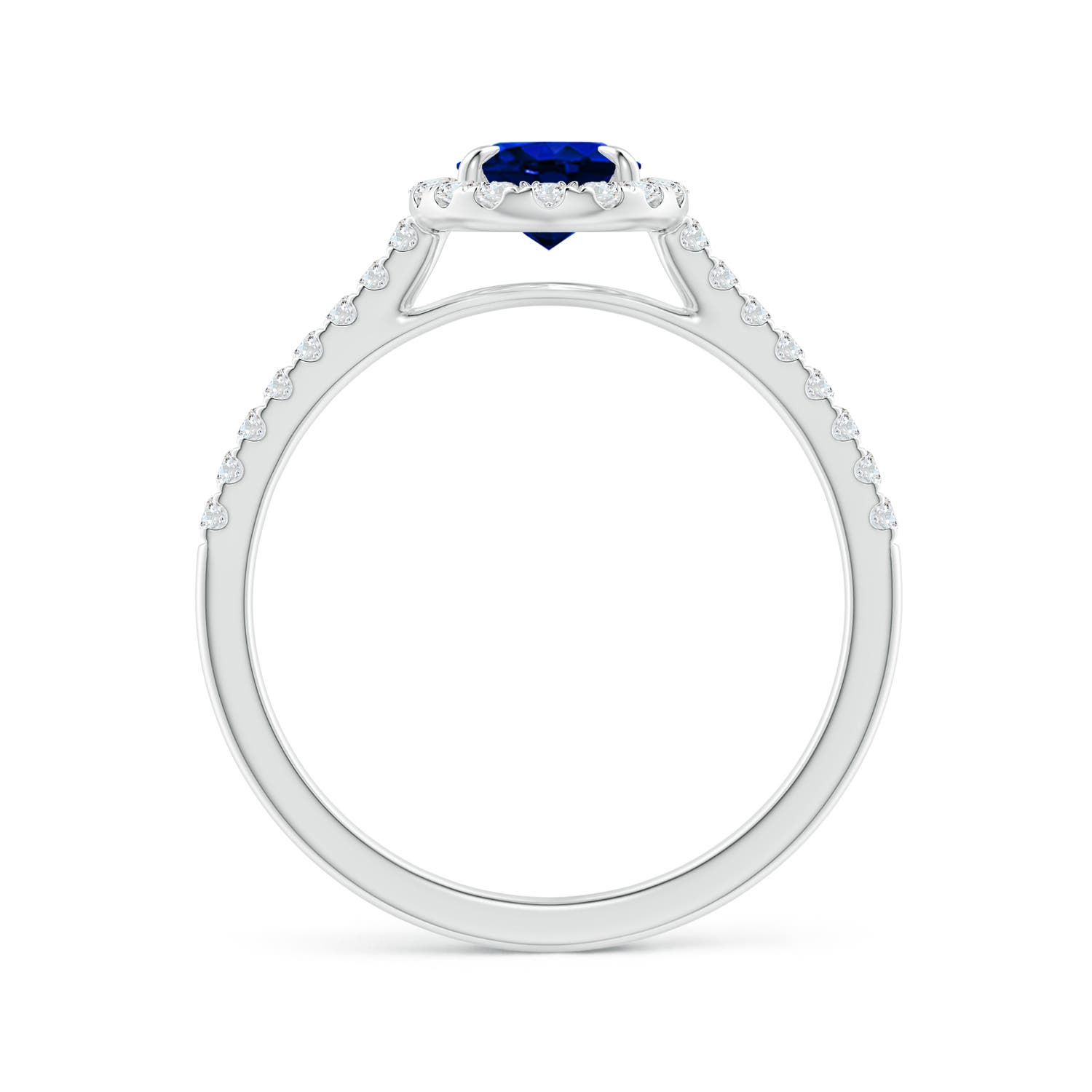 AAAA - Blue Sapphire / 1.17 CT / 14 KT White Gold