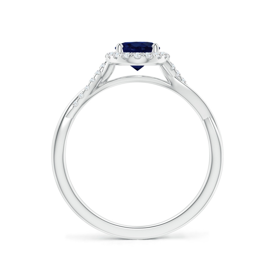 7x5mm A Oval Sapphire Halo Twisted Vine Ring in White Gold side 199