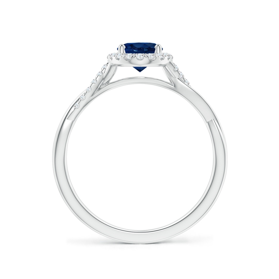 7x5mm AA Oval Sapphire Halo Twisted Vine Ring in White Gold side 199