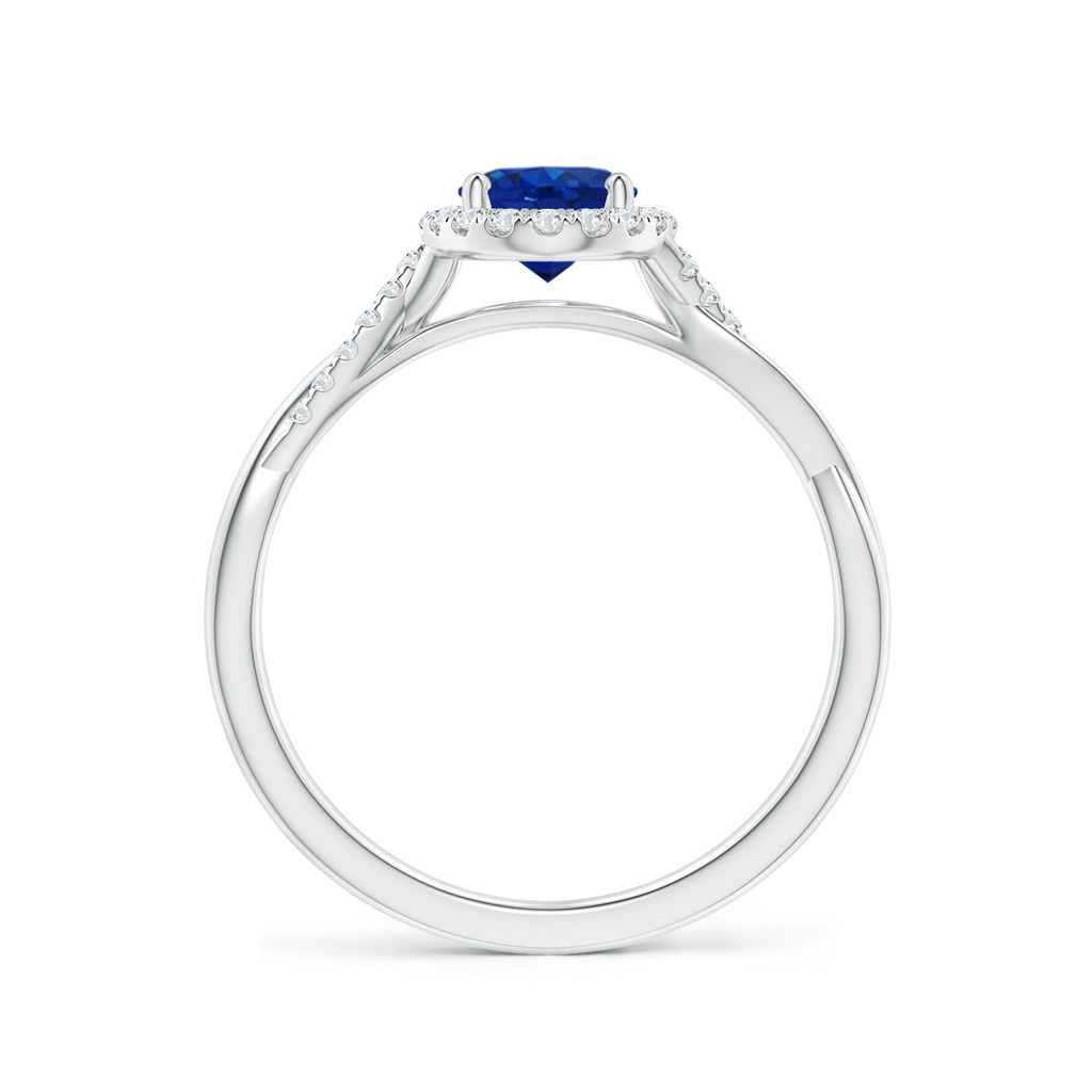 7x5mm AAA Oval Sapphire Halo Twisted Vine Ring in P950 Platinum - side 199
