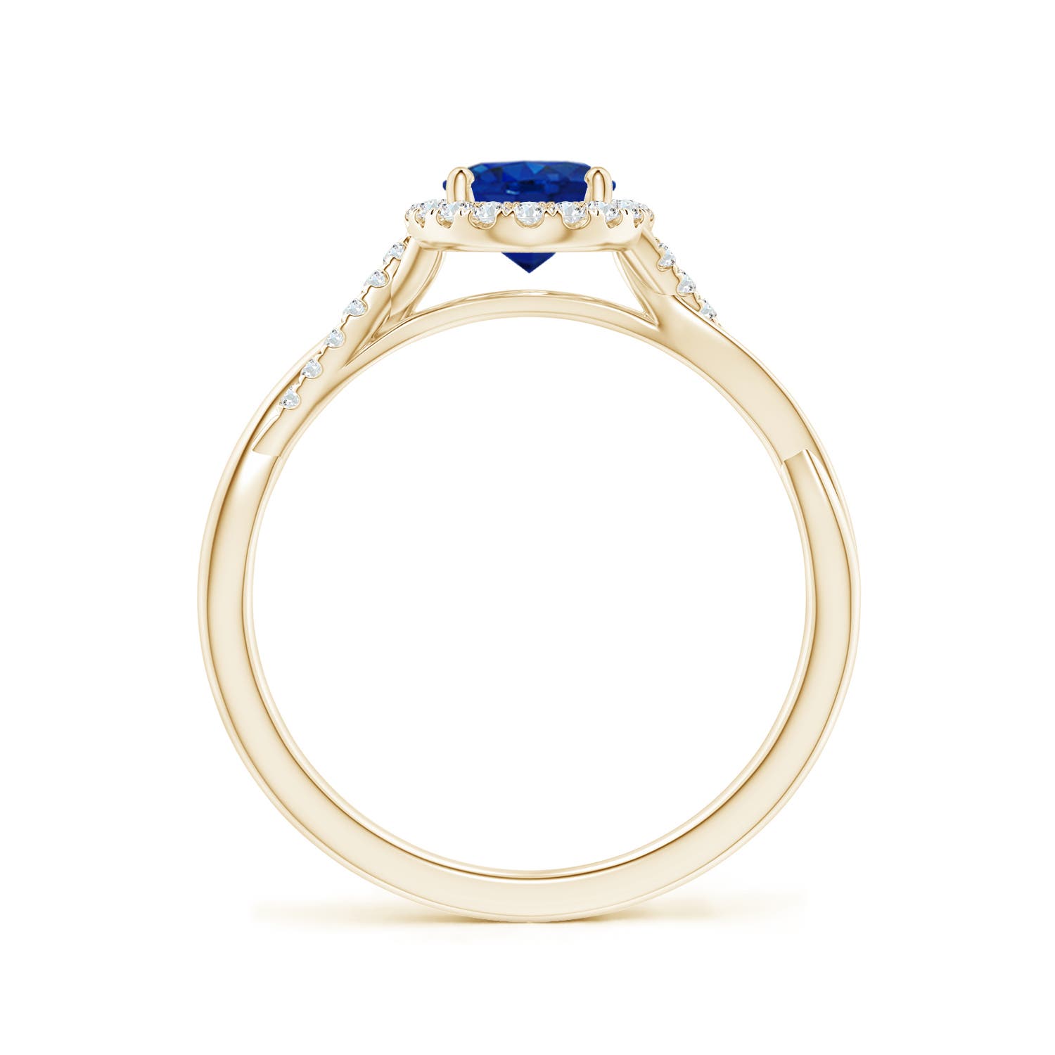 AAA - Blue Sapphire / 1.05 CT / 14 KT Yellow Gold