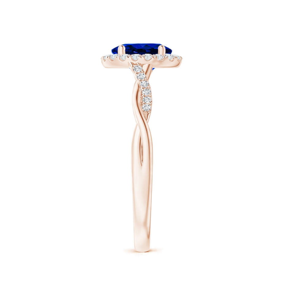 7x5mm AAAA Oval Sapphire Halo Twisted Vine Ring in Rose Gold side 299