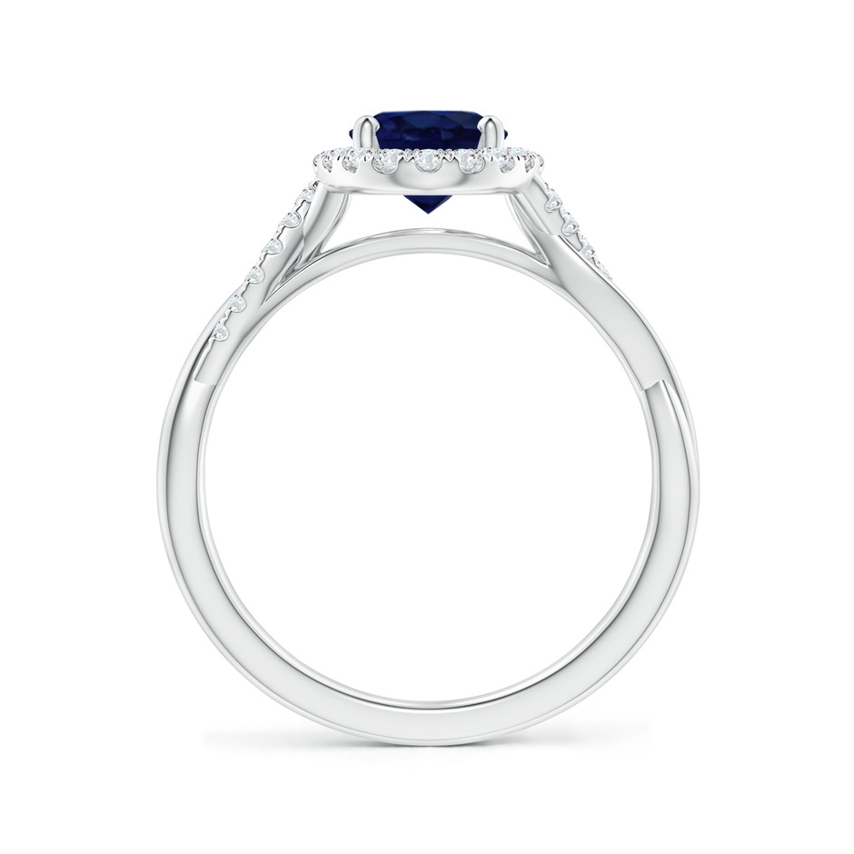 8x6mm A Oval Sapphire Halo Twisted Vine Ring in P950 Platinum side 199