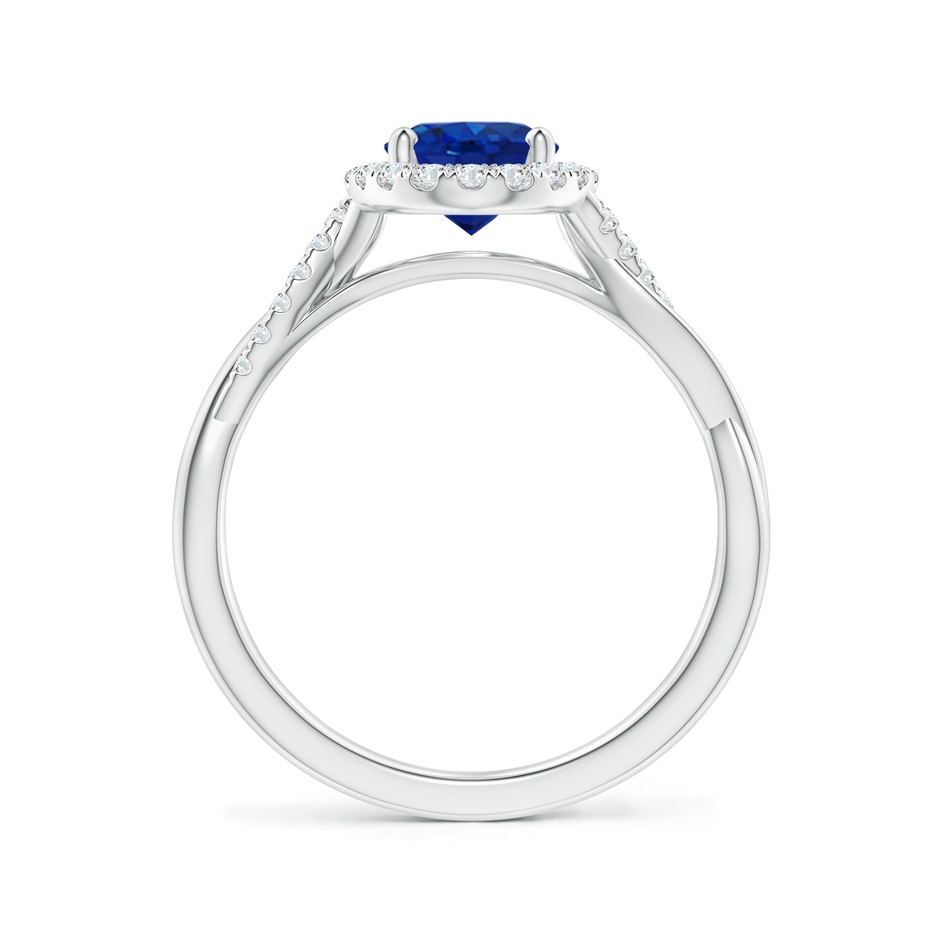 8x6mm AAA Oval Sapphire Halo Twisted Vine Ring in P950 Platinum side 199