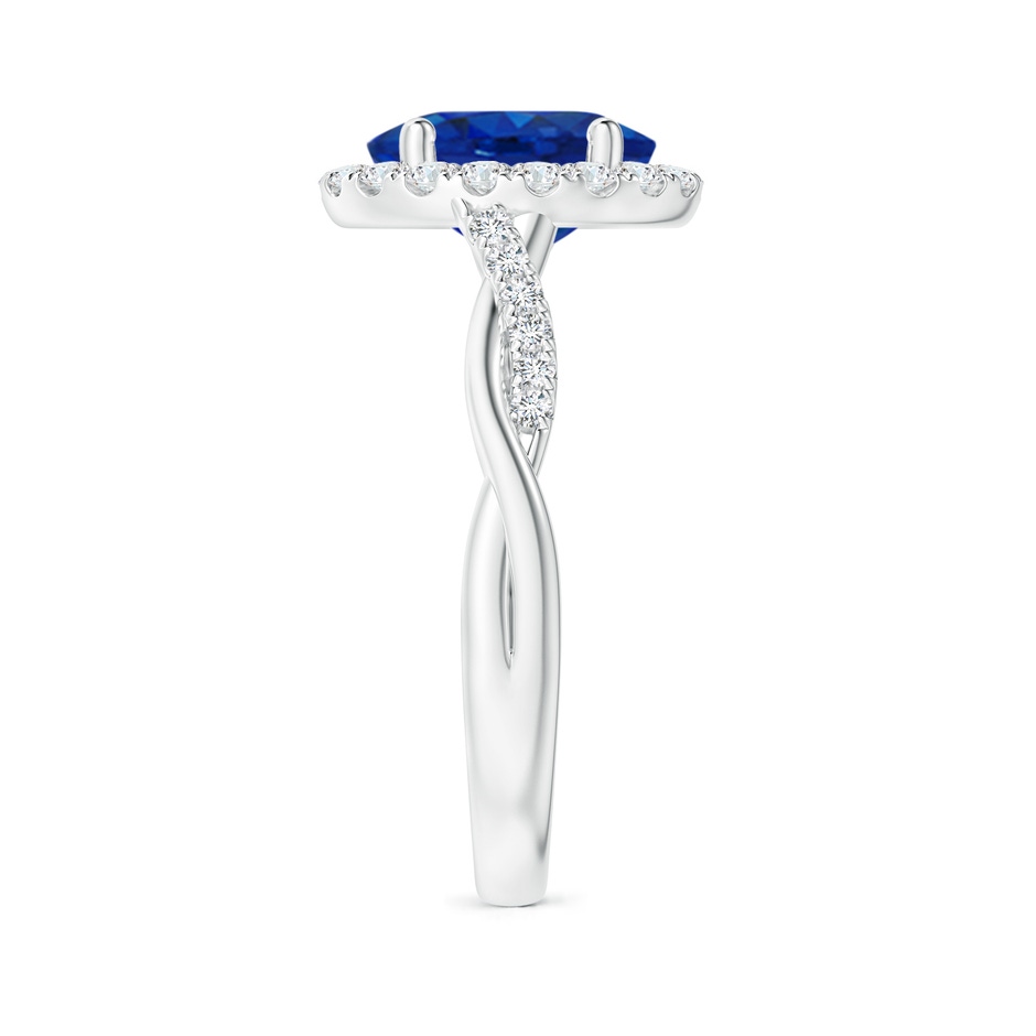 9x7mm AAA Oval Sapphire Halo Twisted Vine Ring in P950 Platinum side 299