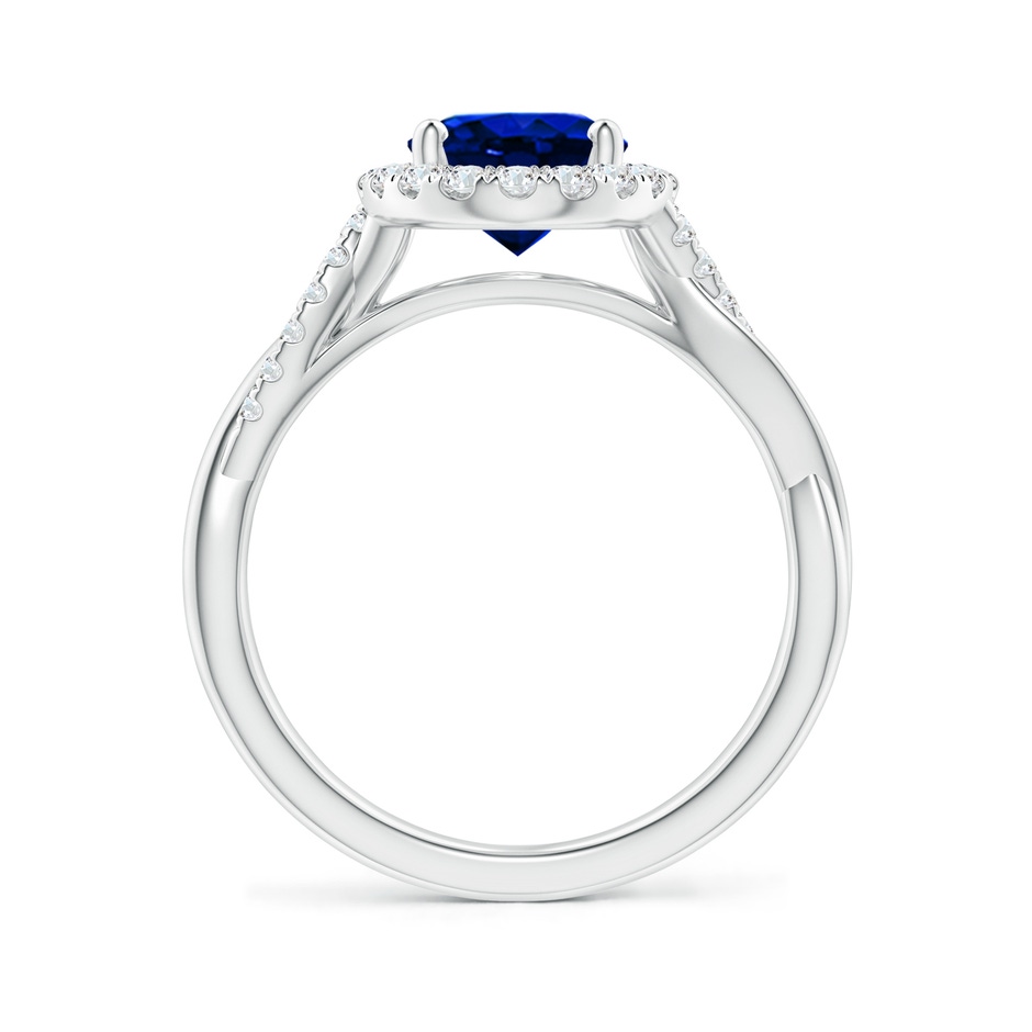 9x7mm AAAA Oval Sapphire Halo Twisted Vine Ring in P950 Platinum side 199