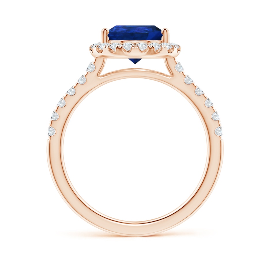 10x8mm AAA Pear-Shaped Sapphire Halo Engagement Ring in Rose Gold side 199