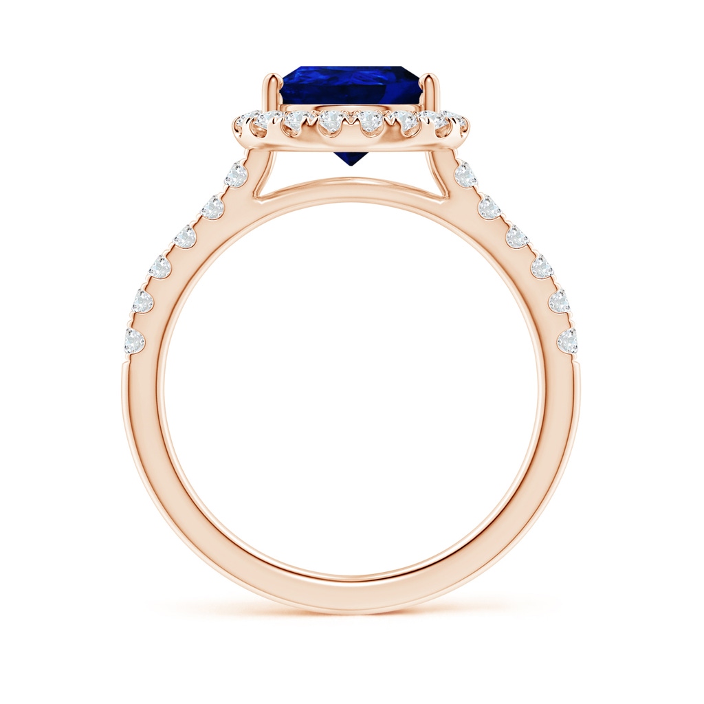 10x8mm Lab-Grown Pear-Shaped Sapphire Halo Engagement Ring in Rose Gold - side 199