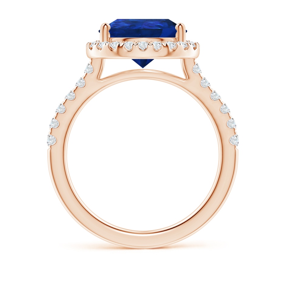 12x10mm AAA Pear-Shaped Sapphire Halo Engagement Ring in 18K Rose Gold side 199