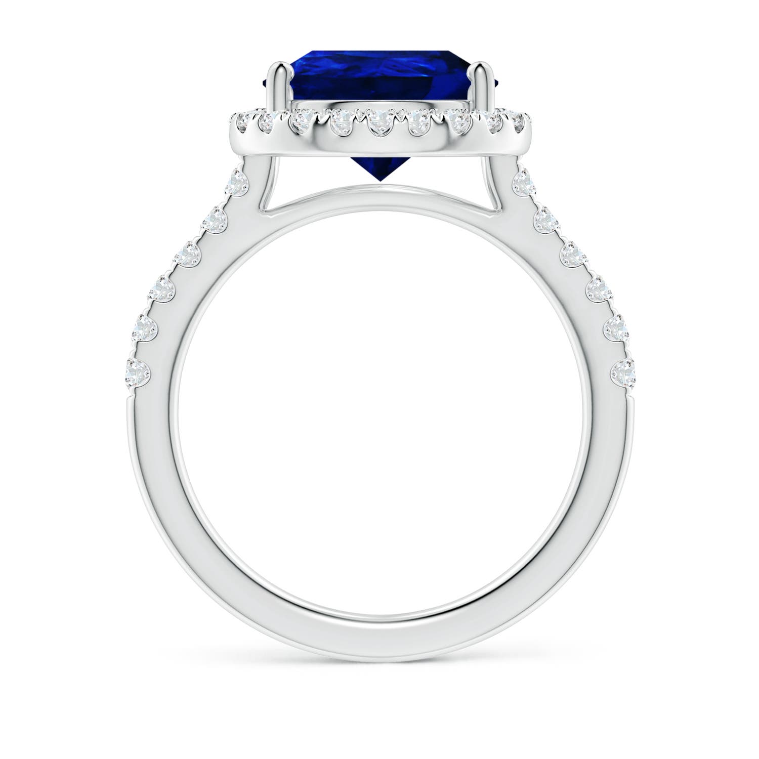 12x10mm AAAA Pear-Shaped Sapphire Halo Engagement Ring in 18K White Gold - side 3