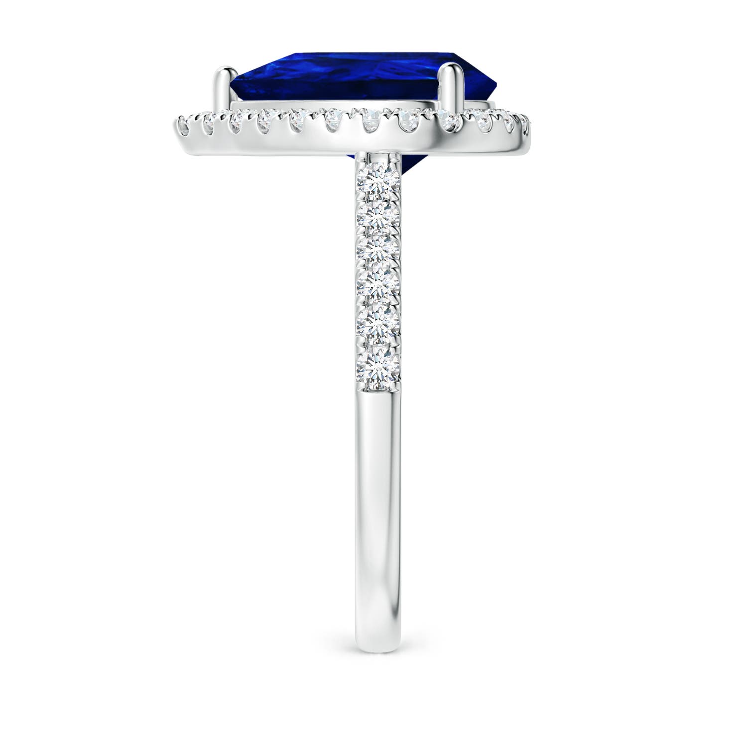 12x10mm AAAA Pear-Shaped Sapphire Halo Engagement Ring in 18K White Gold - side 4