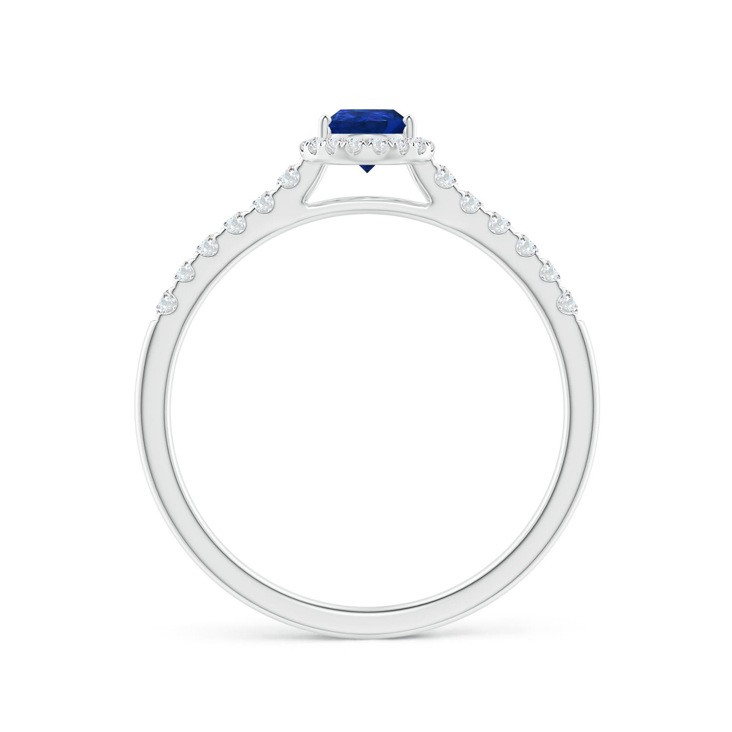 6x4mm AAA Pear-Shaped Sapphire Halo Engagement Ring in 18K White Gold - side 3