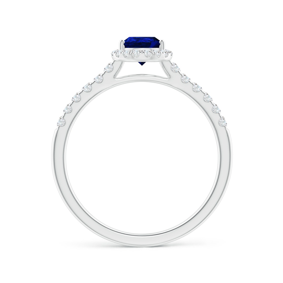 7x5mm AAAA Pear-Shaped Sapphire Halo Engagement Ring in P950 Platinum side 199