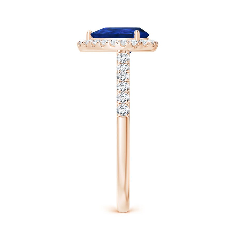 8x6mm AAA Pear-Shaped Sapphire Halo Engagement Ring in Rose Gold side 299