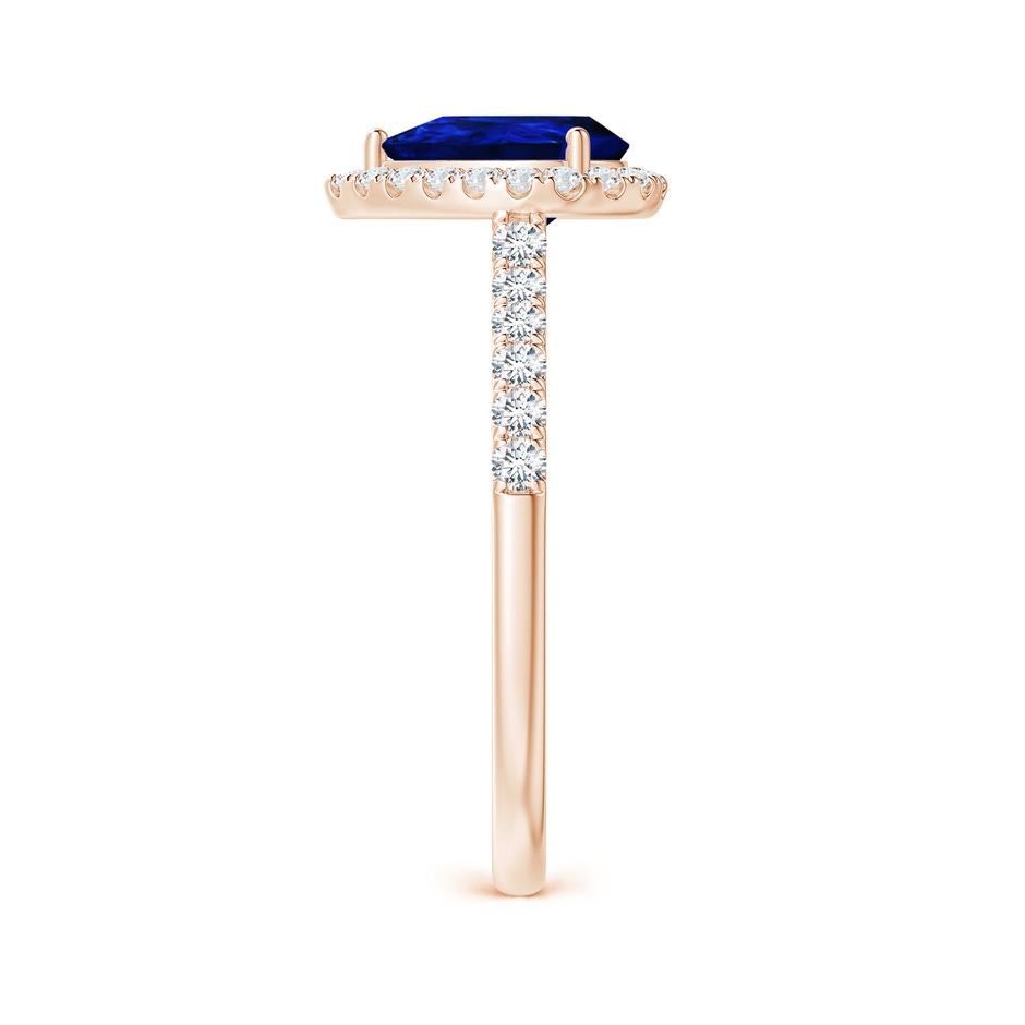 8x6mm AAAA Pear-Shaped Sapphire Halo Engagement Ring in Rose Gold side 299