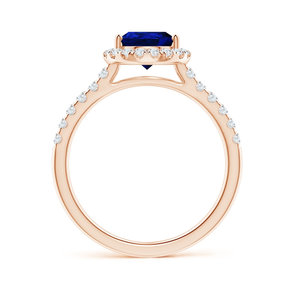 9x7mm AAAA Pear-Shaped Sapphire Halo Engagement Ring in Rose Gold side 199