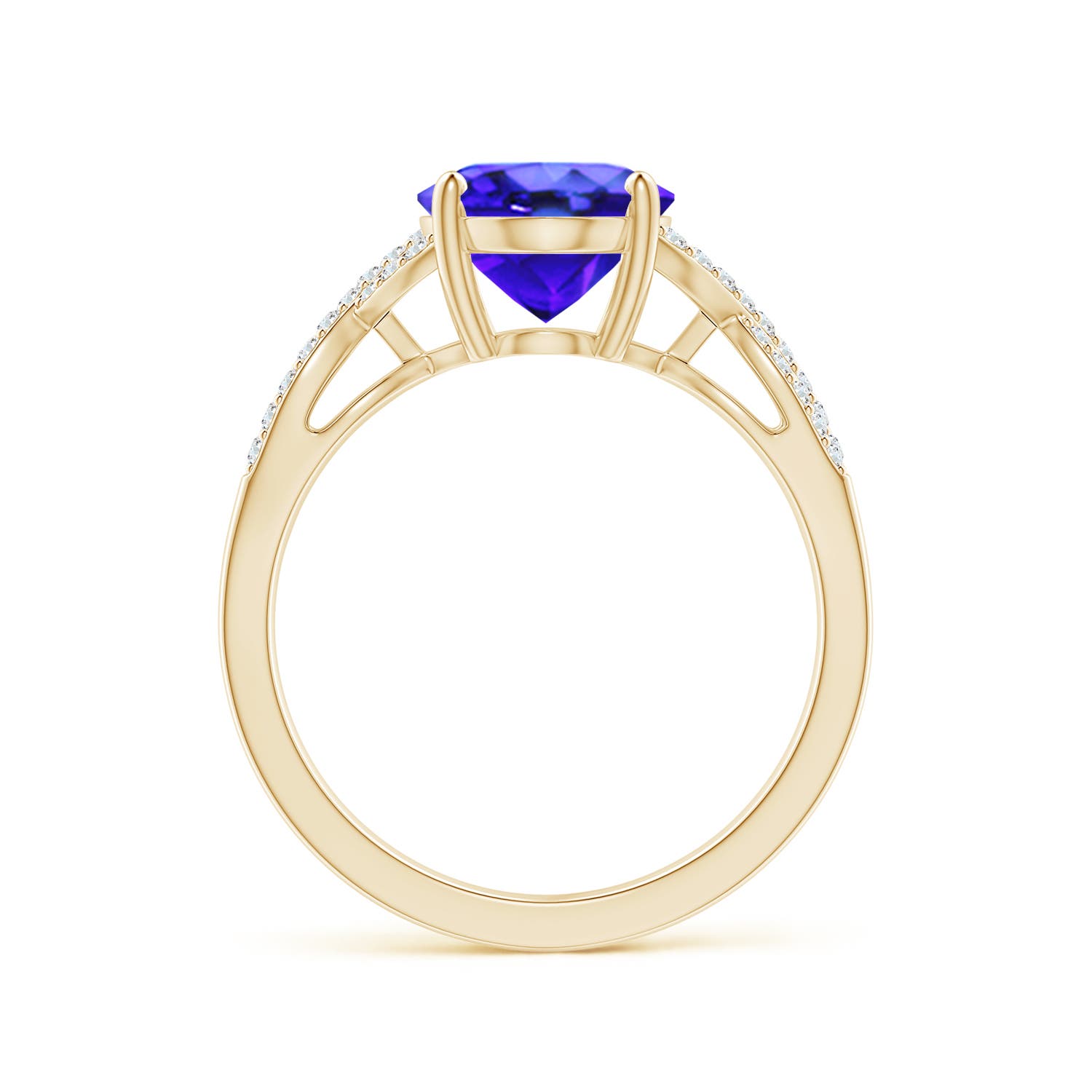 AAA - Tanzanite / 3.07 CT / 14 KT Yellow Gold