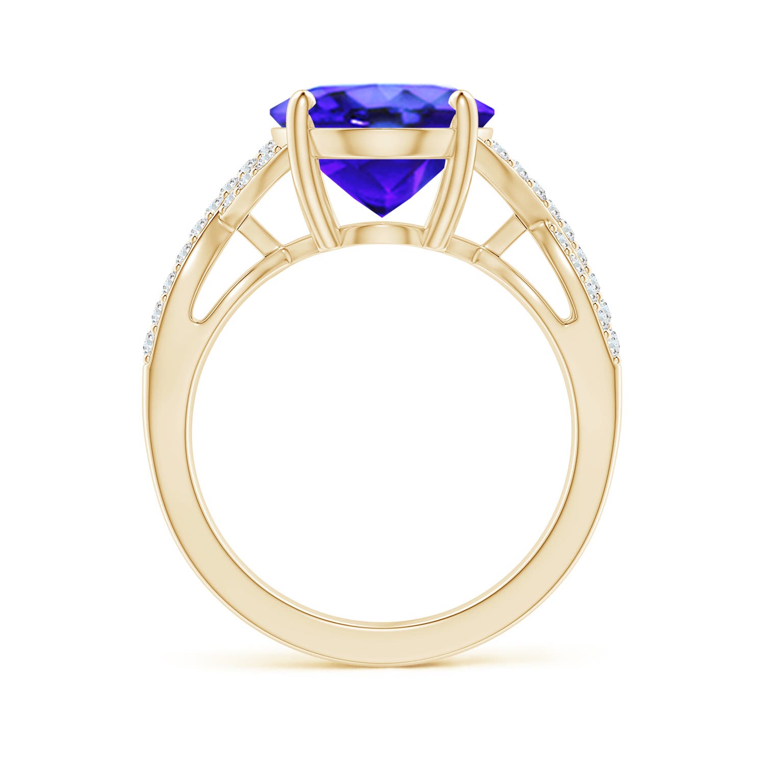 AAA - Tanzanite / 5.07 CT / 14 KT Yellow Gold