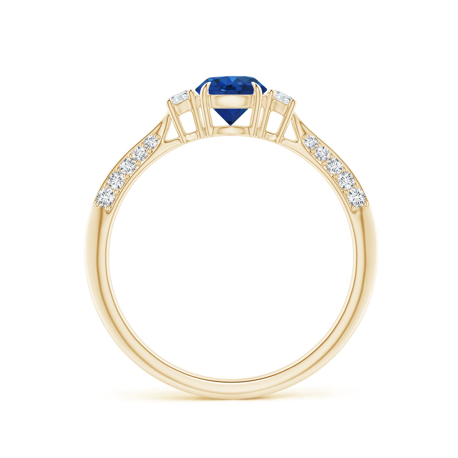 AAA - Blue Sapphire / 0.85 CT / 14 KT Yellow Gold