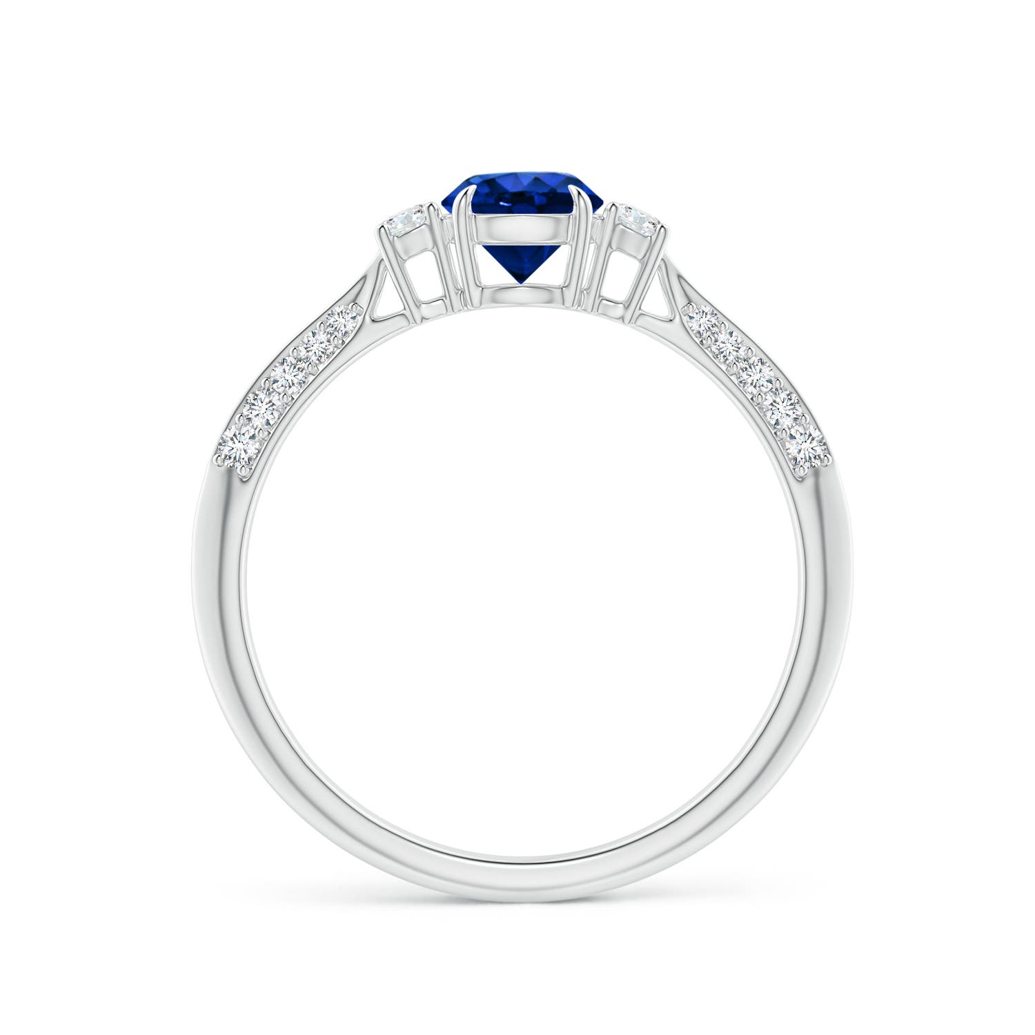 AAAA - Blue Sapphire / 0.85 CT / 14 KT White Gold