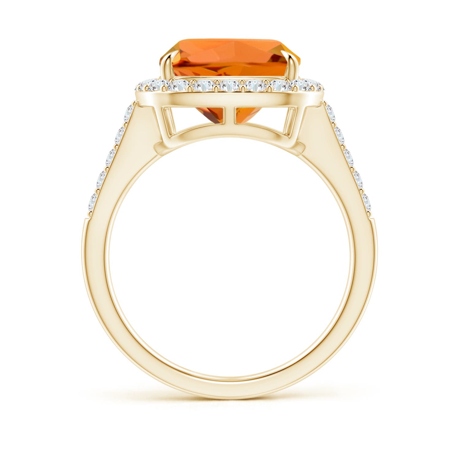 AAAA - Citrine / 4.19 CT / 14 KT Yellow Gold