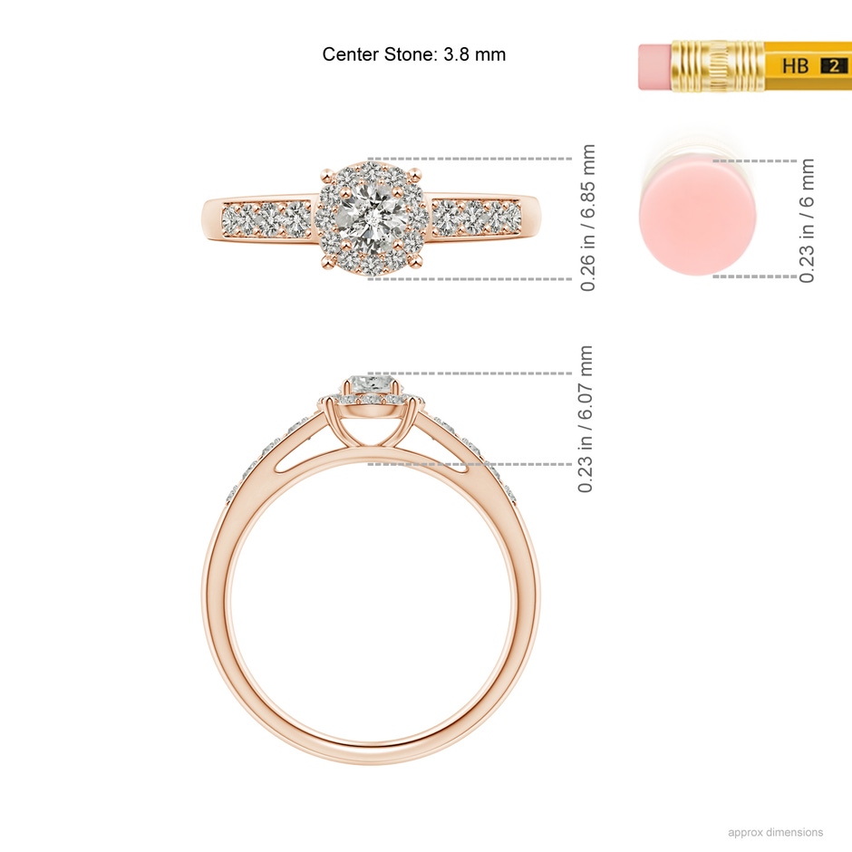 3.8mm KI3 Round Diamond Halo Engagement Ring in Rose Gold ruler
