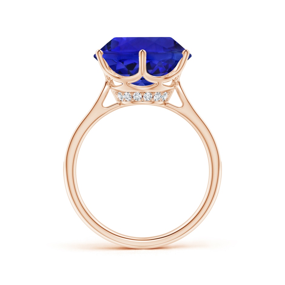 12.39-12.50x8.74mm AAA GIA Certified Tanzanite Engagement Ring with Hidden Halo in Rose Gold side 199