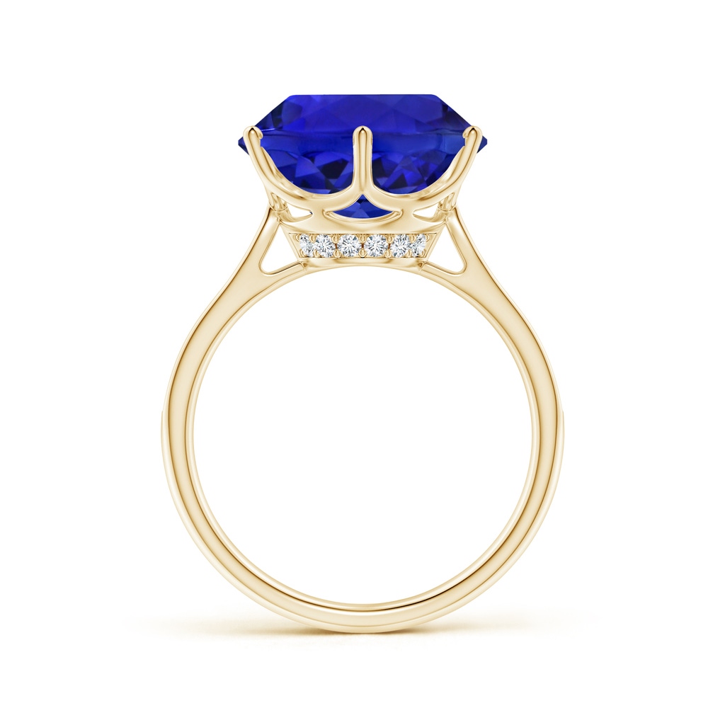 12.39-12.50x8.74mm AAA GIA Certified Tanzanite Engagement Ring with Hidden Halo in Yellow Gold - side 199