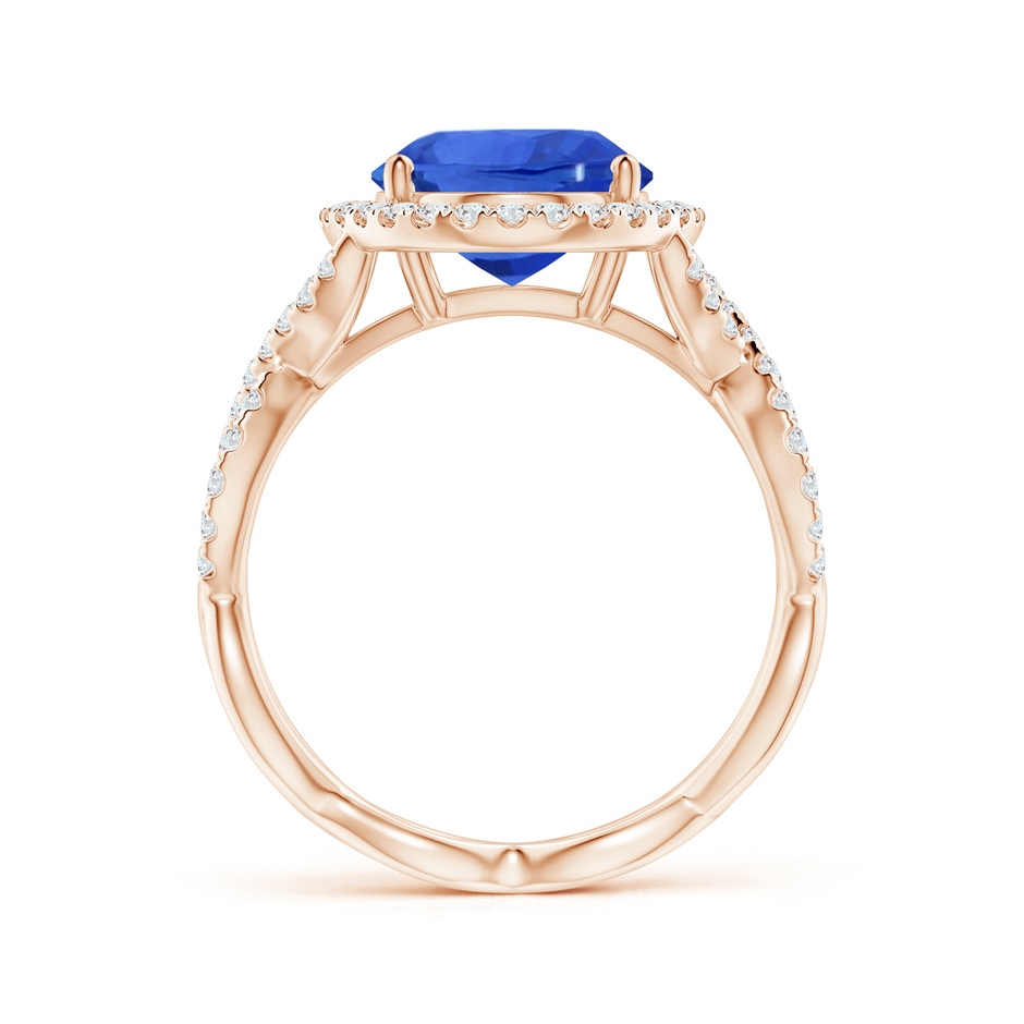 10.04x7.99x5.05mm AAAA GIA Certified Oval Blue Sapphire Floating Halo Engagement Ring in Rose Gold side 199