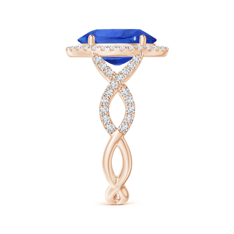 10.04x7.99x5.05mm AAAA GIA Certified Oval Blue Sapphire Floating Halo Engagement Ring in Rose Gold side 399