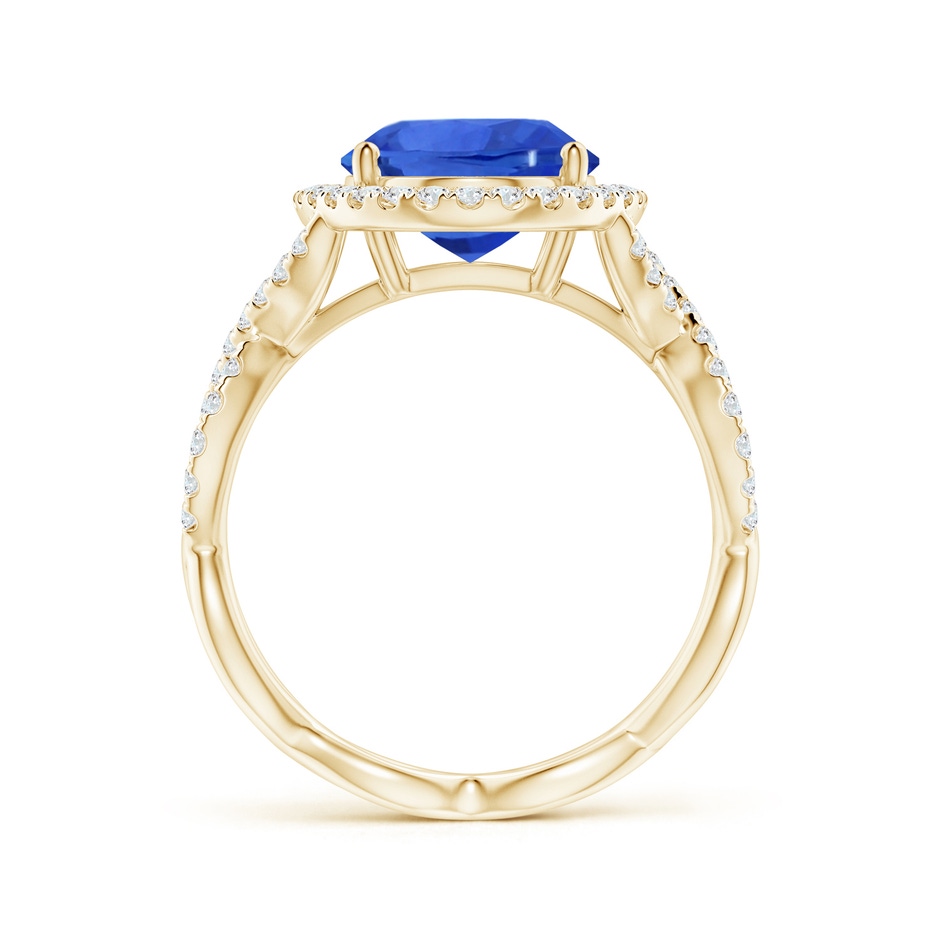10.04x7.99x5.05mm AAAA GIA Certified Oval Blue Sapphire Floating Halo Engagement Ring in Yellow Gold side 199