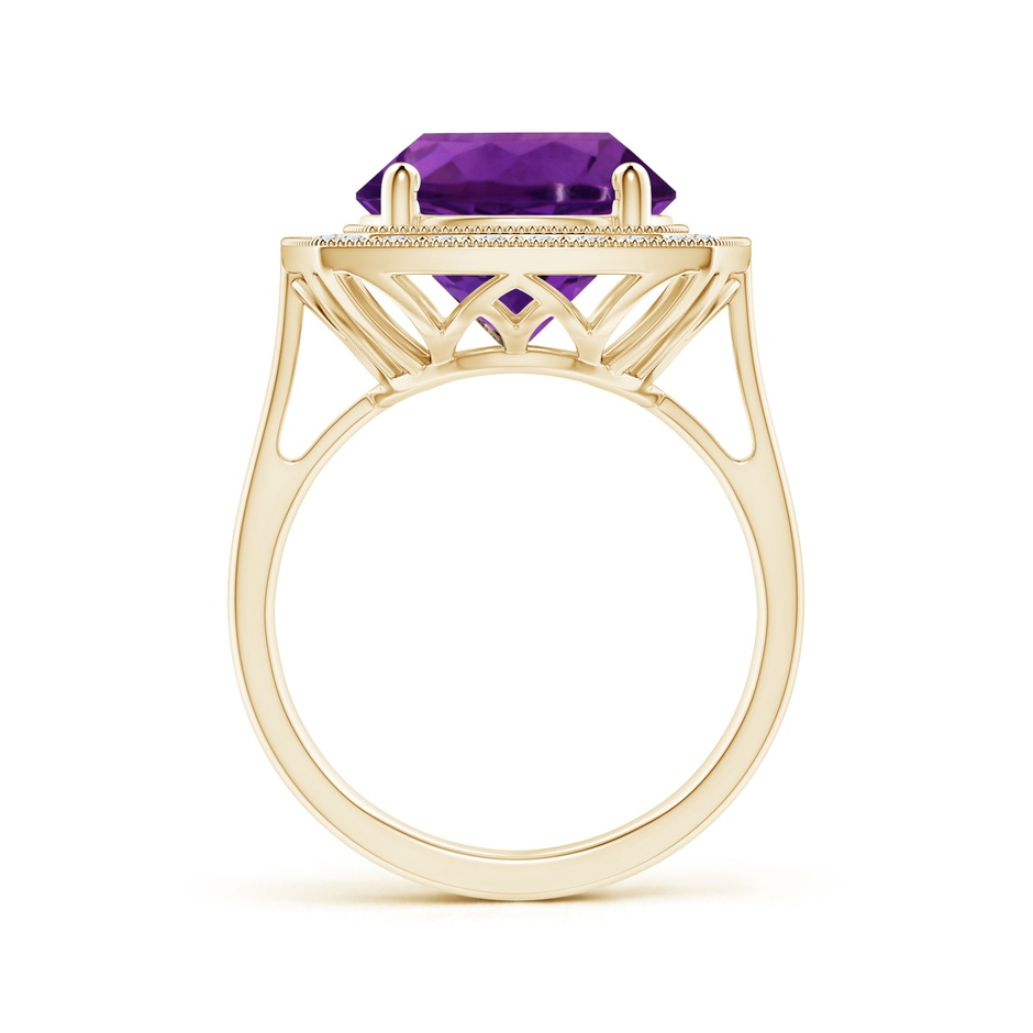 11.20x11.11x7.17mm AAA GIA Certified Round Amethyst Halo Ring with Milgrain in Yellow Gold side 199