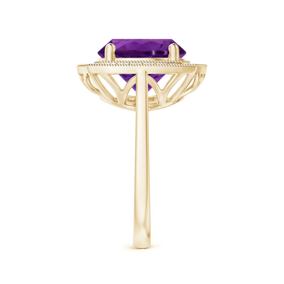 11.20x11.11x7.17mm AAA GIA Certified Round Amethyst Halo Ring with Milgrain in Yellow Gold side 399