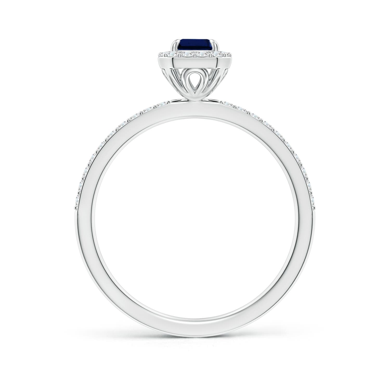 AAA - Blue Sapphire / 0.94 CT / 14 KT White Gold