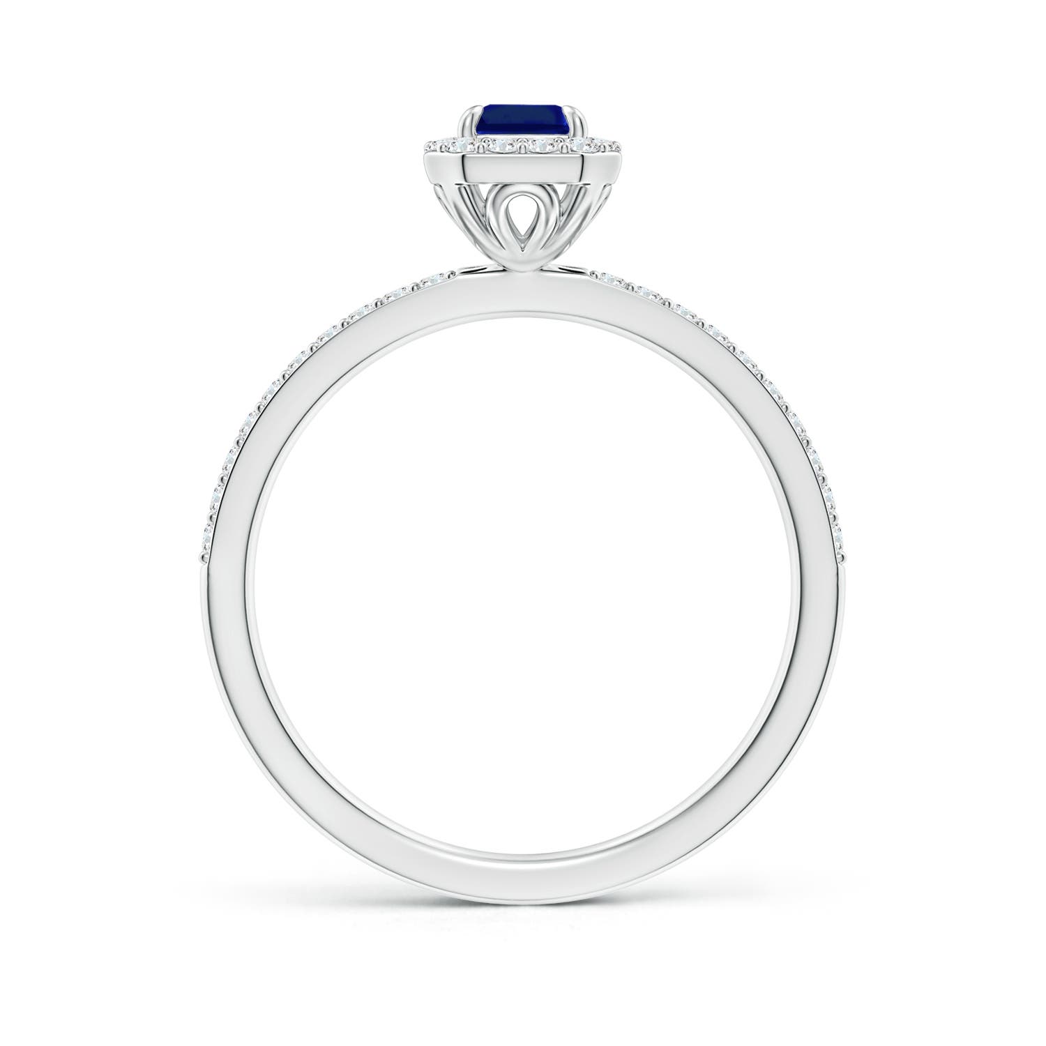 AAAA - Blue Sapphire / 0.94 CT / 14 KT White Gold