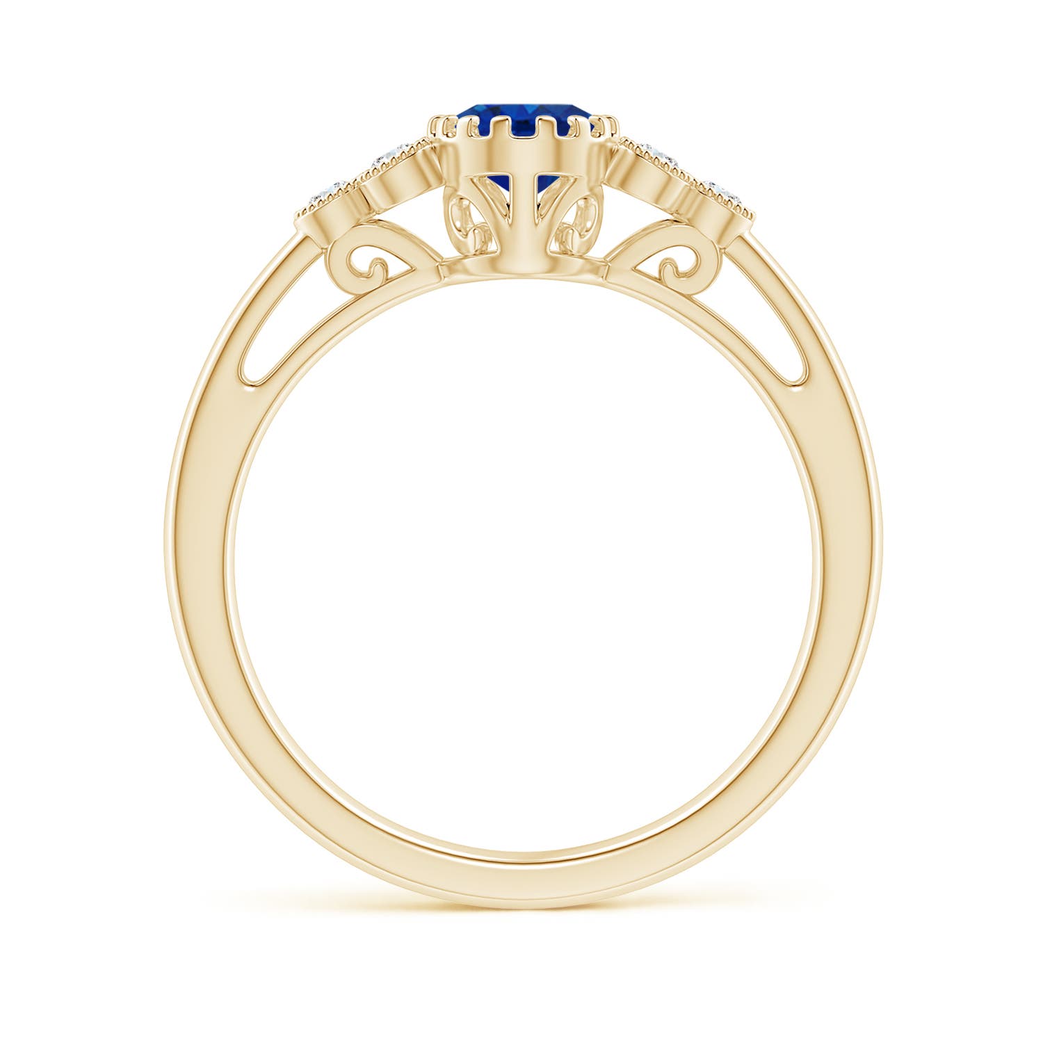 AAA - Blue Sapphire / 0.99 CT / 14 KT Yellow Gold