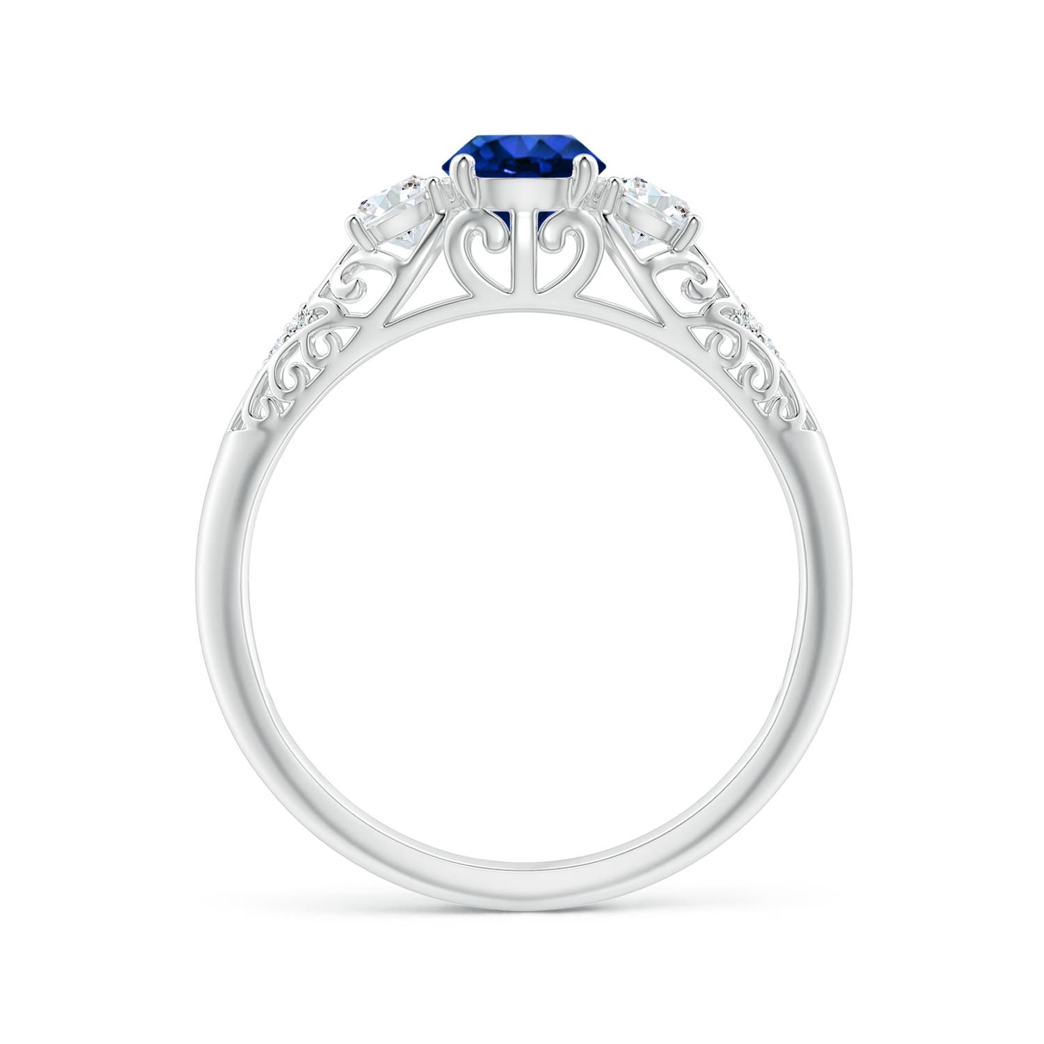 AAAA - Blue Sapphire / 0.87 CT / 14 KT White Gold