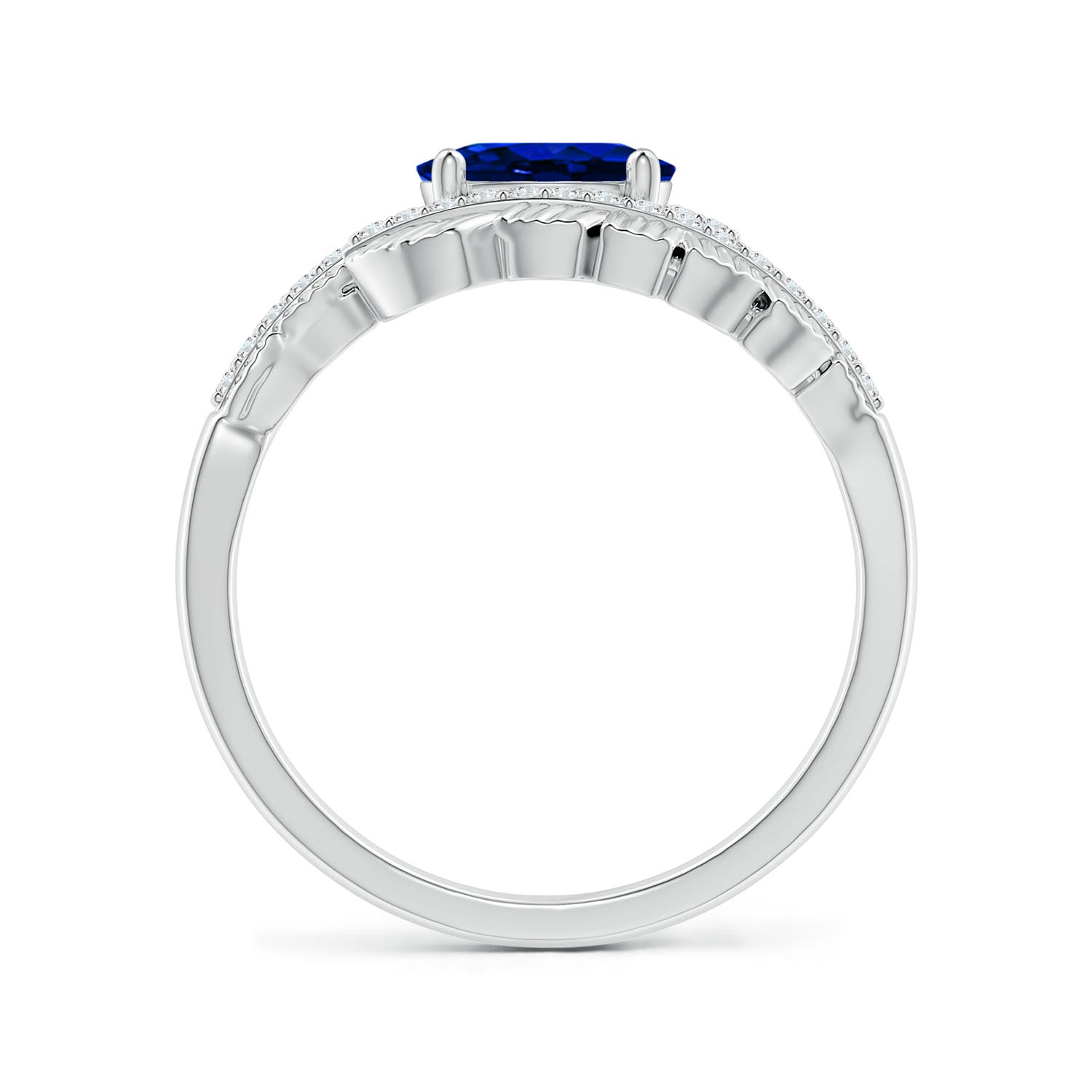 AAAA - Blue Sapphire / 0.99 CT / 14 KT White Gold