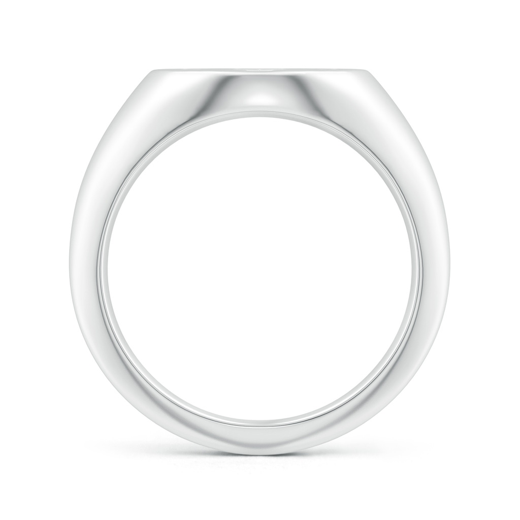 1.1mm HSI2 Diamond Aries Zodiac Sign Signet Ring in White Gold - side_1