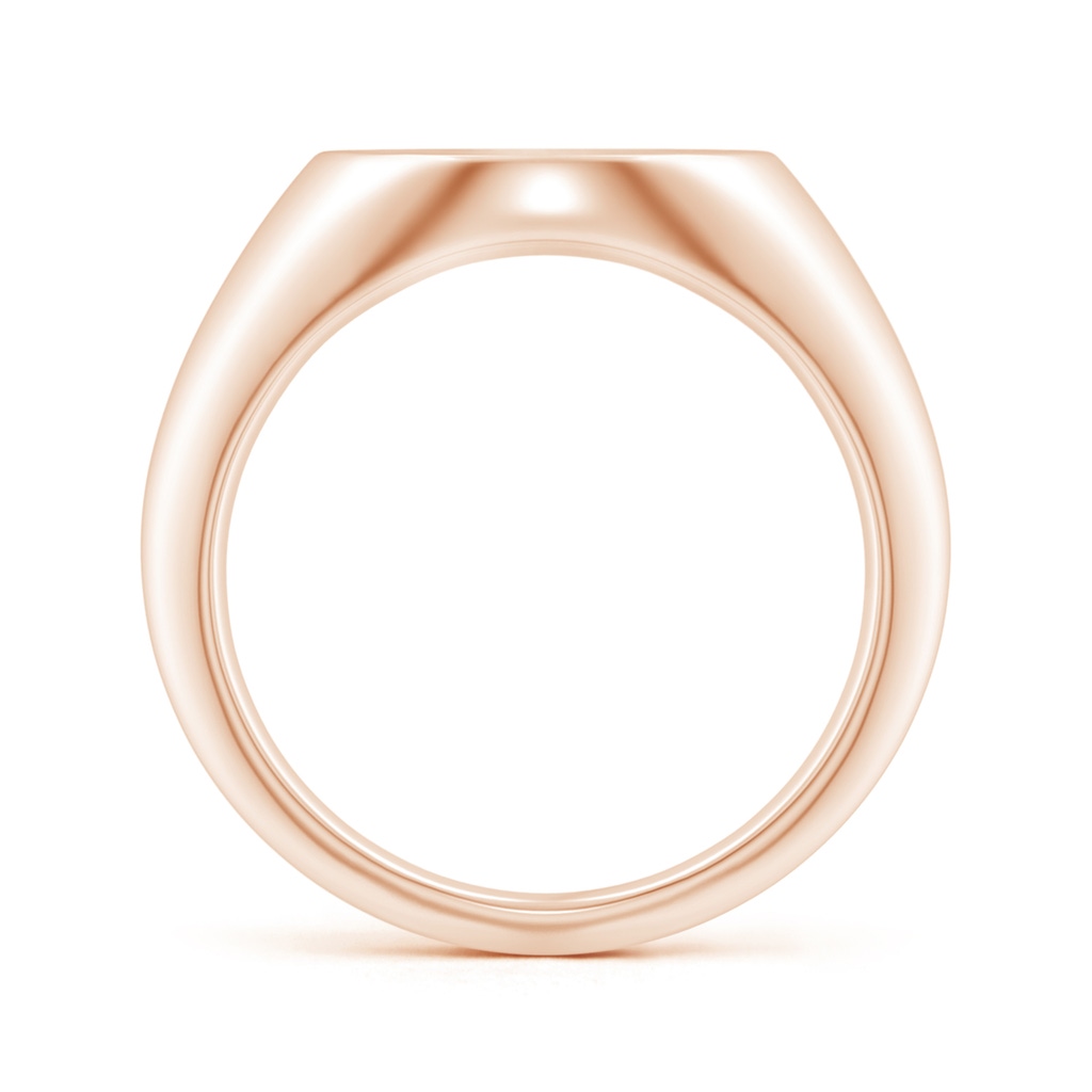 0.9mm GVS2 Diamond Aquarius Zodiac Sign Signet Ring in Rose Gold Side-1