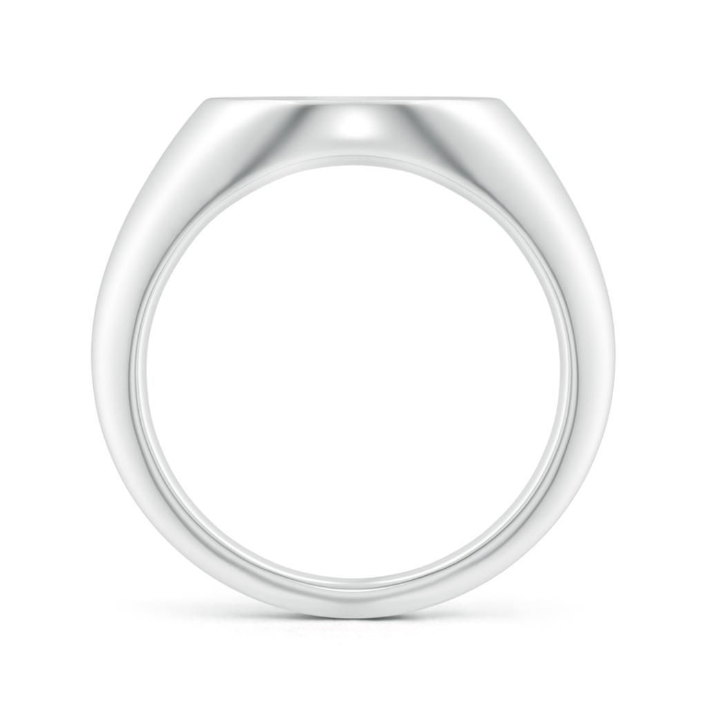 0.9mm HSI2 Diamond Aquarius Zodiac Sign Signet Ring in White Gold - side_1