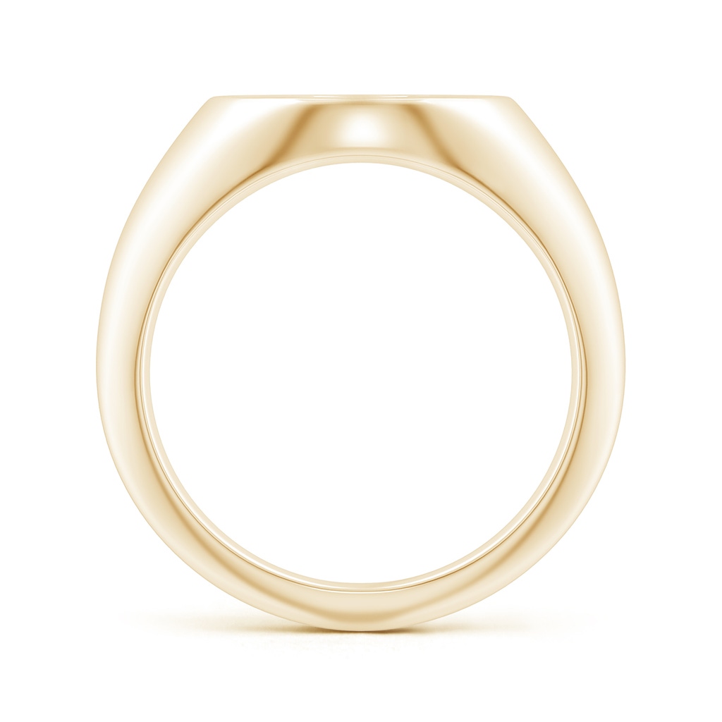 0.9mm GVS2 Diamond Pisces Zodiac Sign Signet Ring in Yellow Gold - side_1