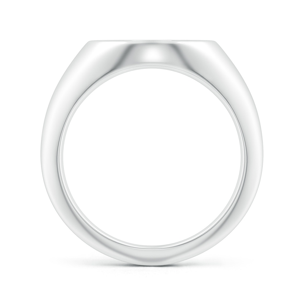 0.9mm HSI2 Diamond Pisces Zodiac Sign Signet Ring in White Gold - side_1