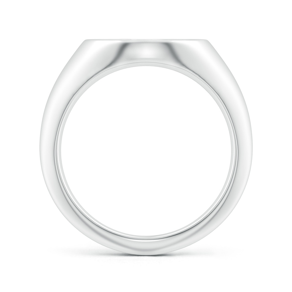 0.9mm HSI2 Diamond Capricorn Zodiac Sign Signet Ring in White Gold - side_1